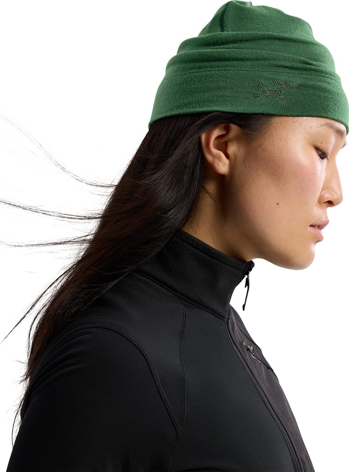 Arc'teryx Rho Lightweight Wool Toque Eden | Buy Arc'teryx